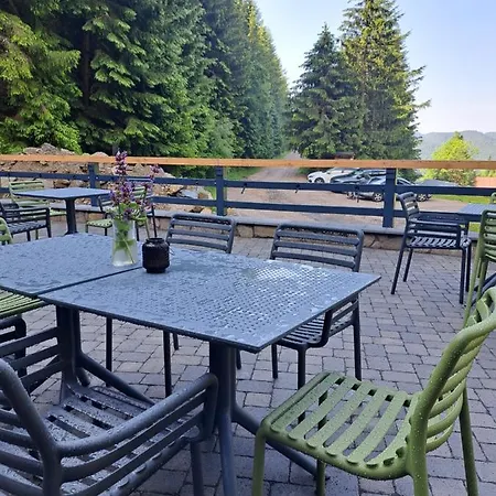 게스트하우스 Kralovoholska 3*