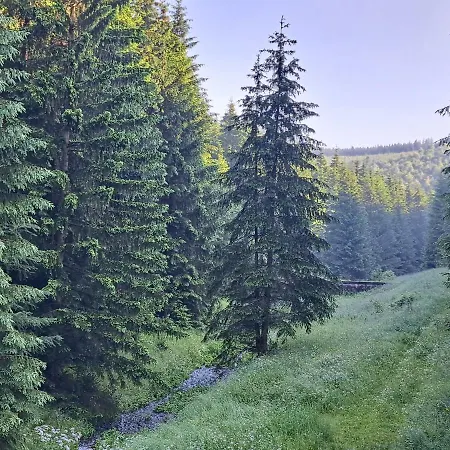 게스트하우스 Kralovoholska Šumiac